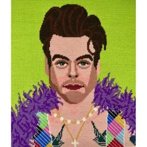 Harry Style needlepoint kit