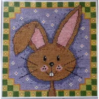 Cross stitch kit