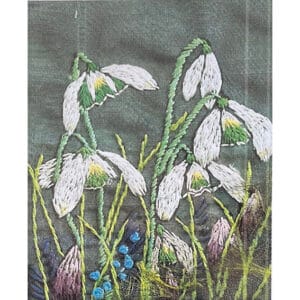 Snowdrops